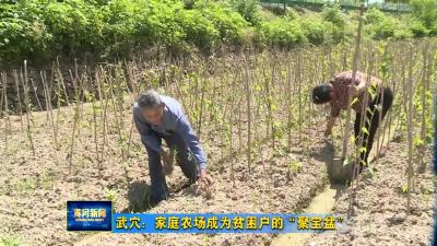 武穴:家庭农场成为贫困户的“聚宝盆”