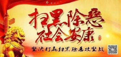 中央扫黑除恶第12督导组对湖北开展“回头看”
