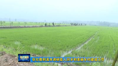 张社教到浠水调研能人回乡和美丽乡村建设工作