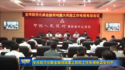 全市防范化解金融领域重大风险工作电视电话会召开