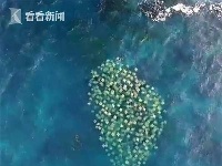 这组画面让人惊呆了