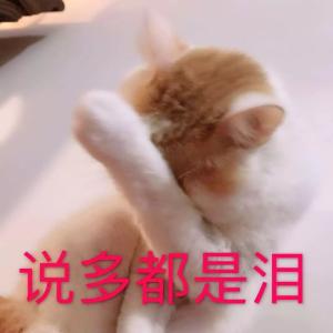 注意了！碰瓷又出新招，行车记录仪都作假……