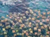 这组画面让人惊呆了