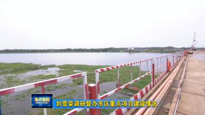 刘雪荣调研督办市区重点项目建设情况
