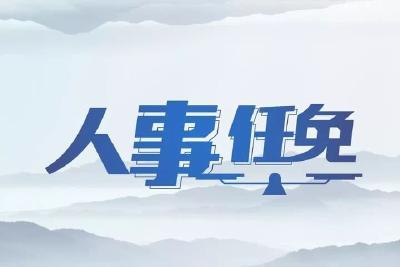 湖北副省长陈安丽跨省赴任黑龙江省委常委、组织部部长