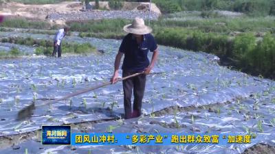 团风山冲村：“多彩产业”跑出群众致富“加速度”