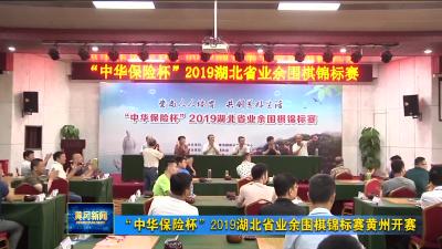 “中华保险杯”2019湖北省业余围棋锦标赛黄州开赛