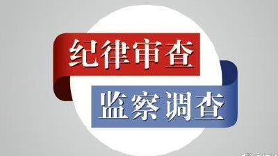黄冈市公安局黄州分局治安管理大队原大队长孙双英被开除党籍和公职