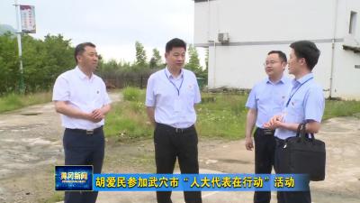 胡爱民参加武穴市“人大代表在行动”活动