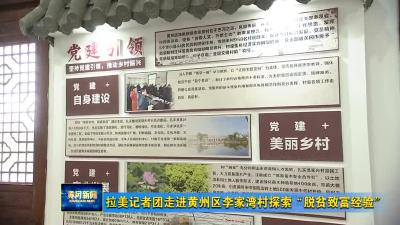 拉美记者团走进黄州区李家湾村探索“脱贫致富经验”
