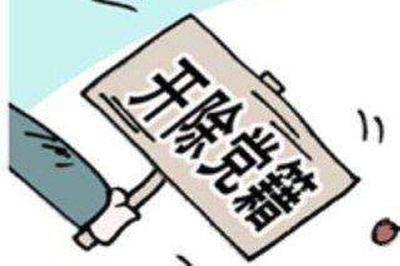 黄梅县蔡山镇农业技术推广服务中心工作人员李彬被开除党籍