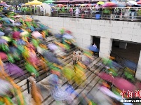 大场面！2000家庭组团“溜娃”