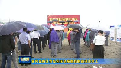 黄冈高新区青岛环球高端模具制造项目正式开工