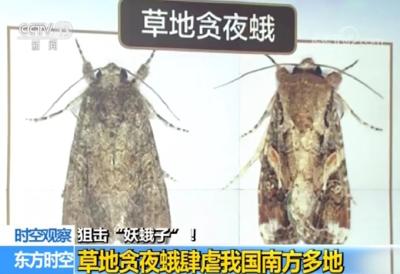 紧急通知！湖北14市州已被入侵！联合国发出警告，危害100个国家！