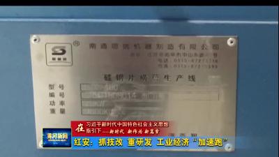 红安：抓技改 重研发 工业经济“加速跑”