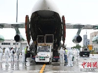 13匹“汗血宝马”空降长春