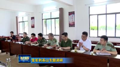 雷军到英山专题调研