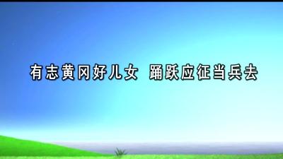 新播报190715.mp4