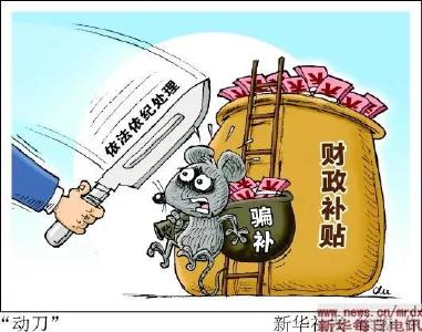 “空手套白猪”？一头猪没养，百万财政补贴骗到手？