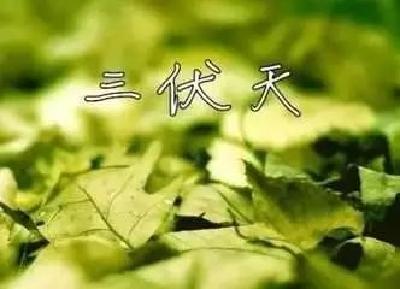 今天，黄冈入伏！请收好这份“三伏天”养生指南