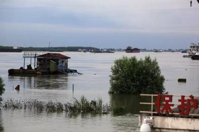 大雨暴雨继续！长江流域共76条河流发生洪水
