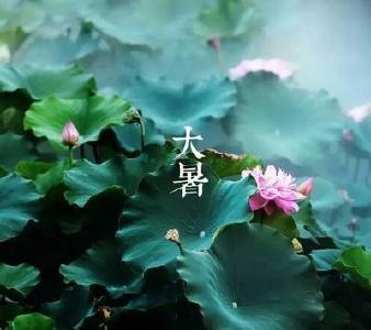 23日10时50分“大暑”：小暑不算热，大暑三伏天