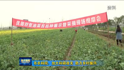 市农科院：加大科研攻关 助力乡村振兴
