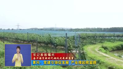 黄冈：党建引领促发展 产业撑起致富路