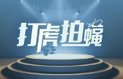湖北省黄冈市人大常委会党组成员、副主任吴美景接受纪律审查和监察调查