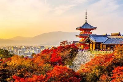 愿世间所有的美好，都是恰逢其时！