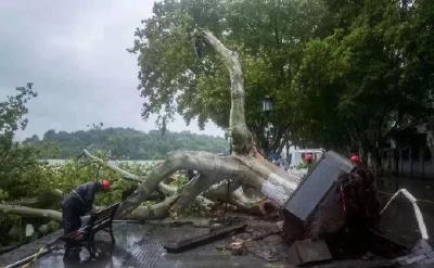 台风“利奇马”已致13人遇难，16人失联