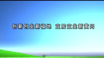 新播报190805.mp4