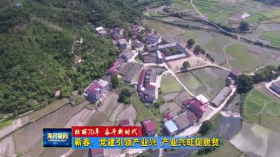 蕲春：党建引领产业兴  产业兴旺促脱贫