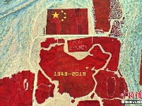辣椒拼巨型中国地图庆丰收