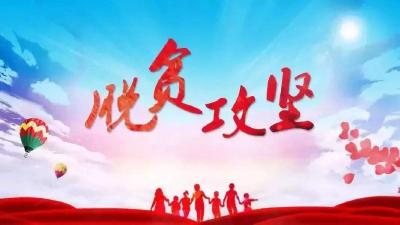 祝贺！湖北5人1单位获“全国脱贫攻坚奖”，看看都是谁？