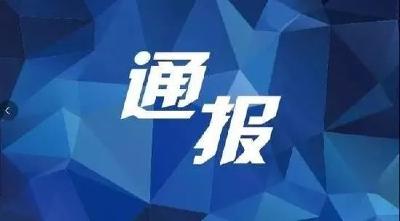 【黄冈聚焦】通报！