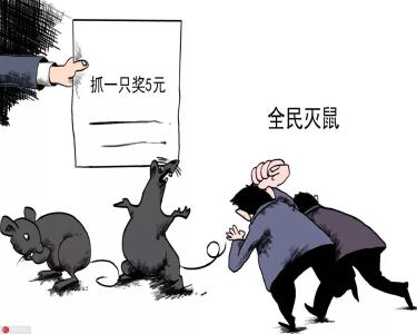 这个地方抓1只老鼠奖5元！网友：抢猫饭碗