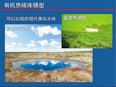 让地球氧气在5亿年前猛增的神秘力量找到了