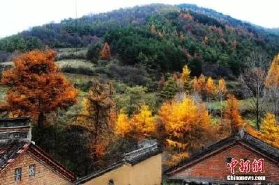 专家解读：秋季天气多变，如何科学应对？
