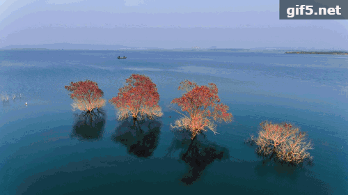 降温10℃+7级大风！湖北未来几天都是雨雨雨，还好有这个好消息……