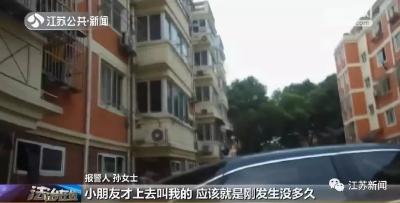 乌龟“越狱”后精准砸中楼下轿车！结果……