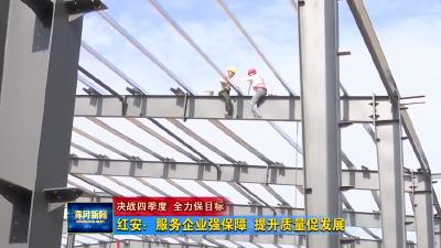 红安：服务企业强保障   提升质量促发展