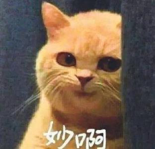 “植发机器人”？你们认错了，我是“薅”头发的