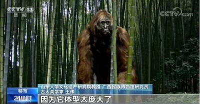 “郧县人”是东亚最早的直立人