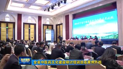 全省中医药文化建设研讨培训班在黄州开班