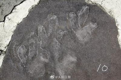 承德避暑山庄原来是“侏罗纪公园”？