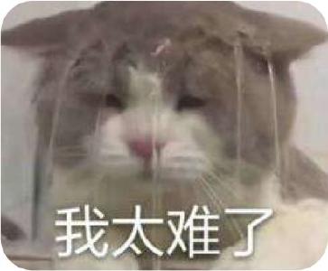 春运火车票明天开抢！攻略收好→