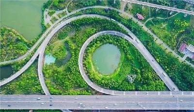 《人民日报》关注武汉生态修复：戴家湖又美起来了！