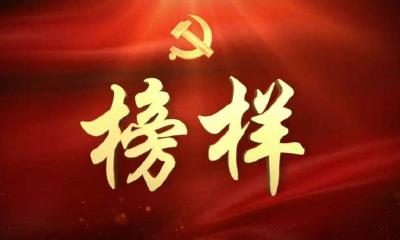 战“疫”一线党旗红 ——黄冈市充分发挥基层党组织在防疫攻坚战中的中流砥柱作用