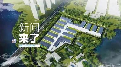 央视新闻 | 新闻来了〔2020.01.29〕